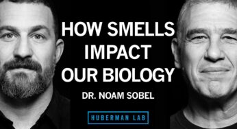 Dr. Noam Sobel: How Smells Influence Our Hormones, Health & Behavior | Huberman Lab Podcast