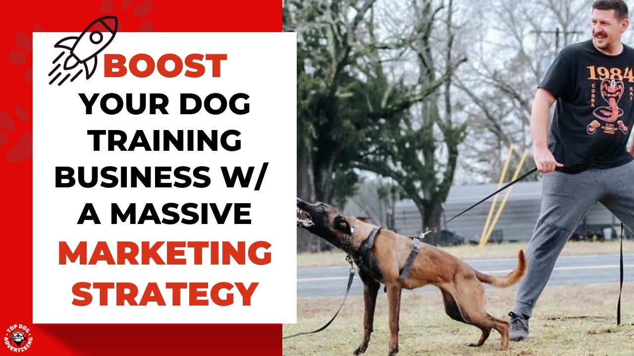 How a Massive Marketing Strategy Can Boost Your Dog Training Business!