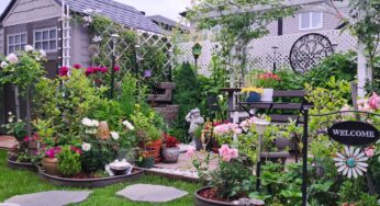 Tiny Backyard Garden Tour Plants and Flowers #garden #gardening #gardentour #plants #flowers #new