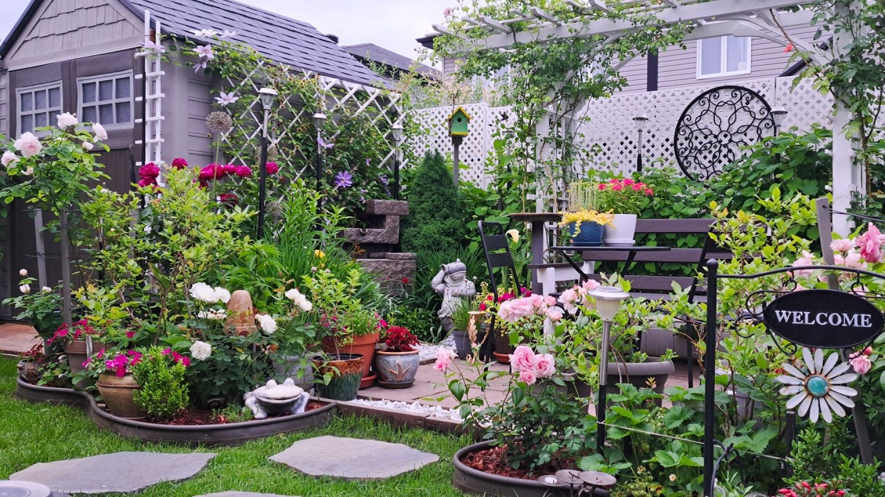 Tiny Backyard Garden Tour Plants and Flowers #garden #gardening #gardentour #plants #flowers #new